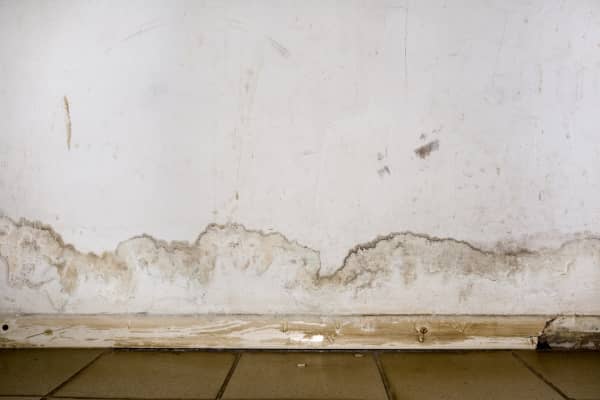Mold Remediation Services