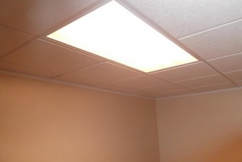 Ceiling Mold Removal