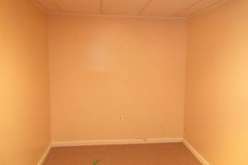 Mold Removal on Walls