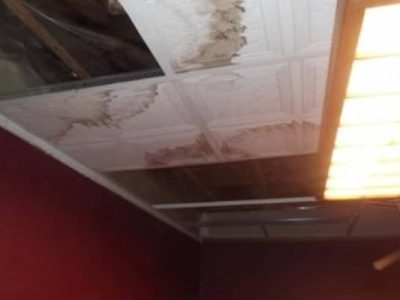 Residential Mold Removal Services